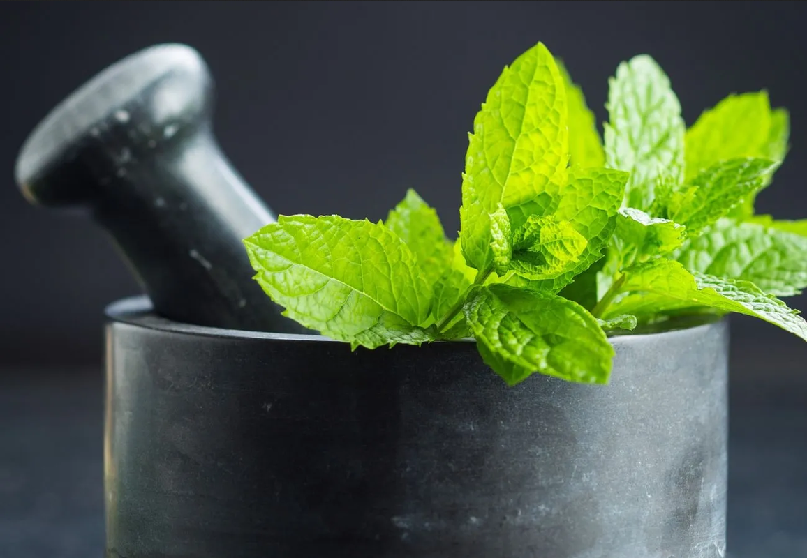 ¿Cómo tener dinero en pocos días? Haz este ritual con hojas de menta