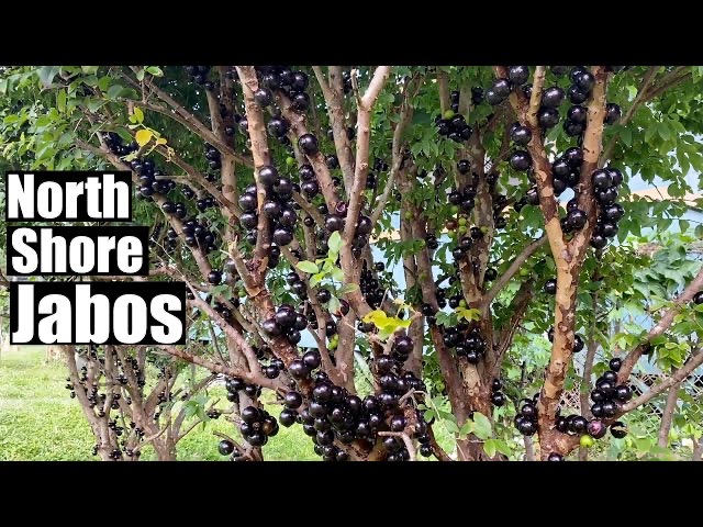 8BD6983C-AB1B-4C66-8BFF-9524E43642C9