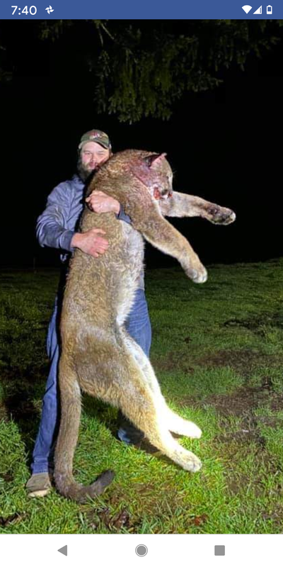 Screenshot_20191229-194057