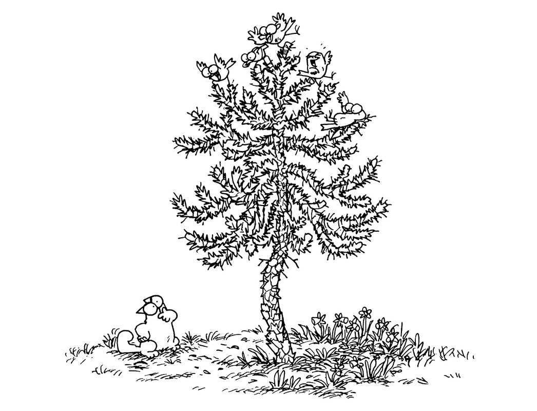 p0066