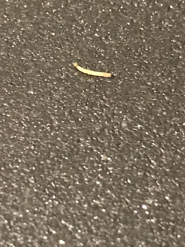 55505DD0-368C-4680-8B20-3AC5DCB467E2