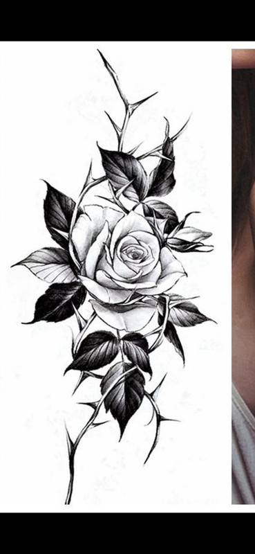 Screenshot_20251006_205416_Gallery