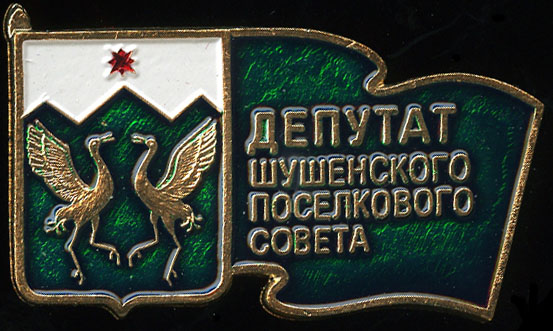 Шушенское ГП-депутат