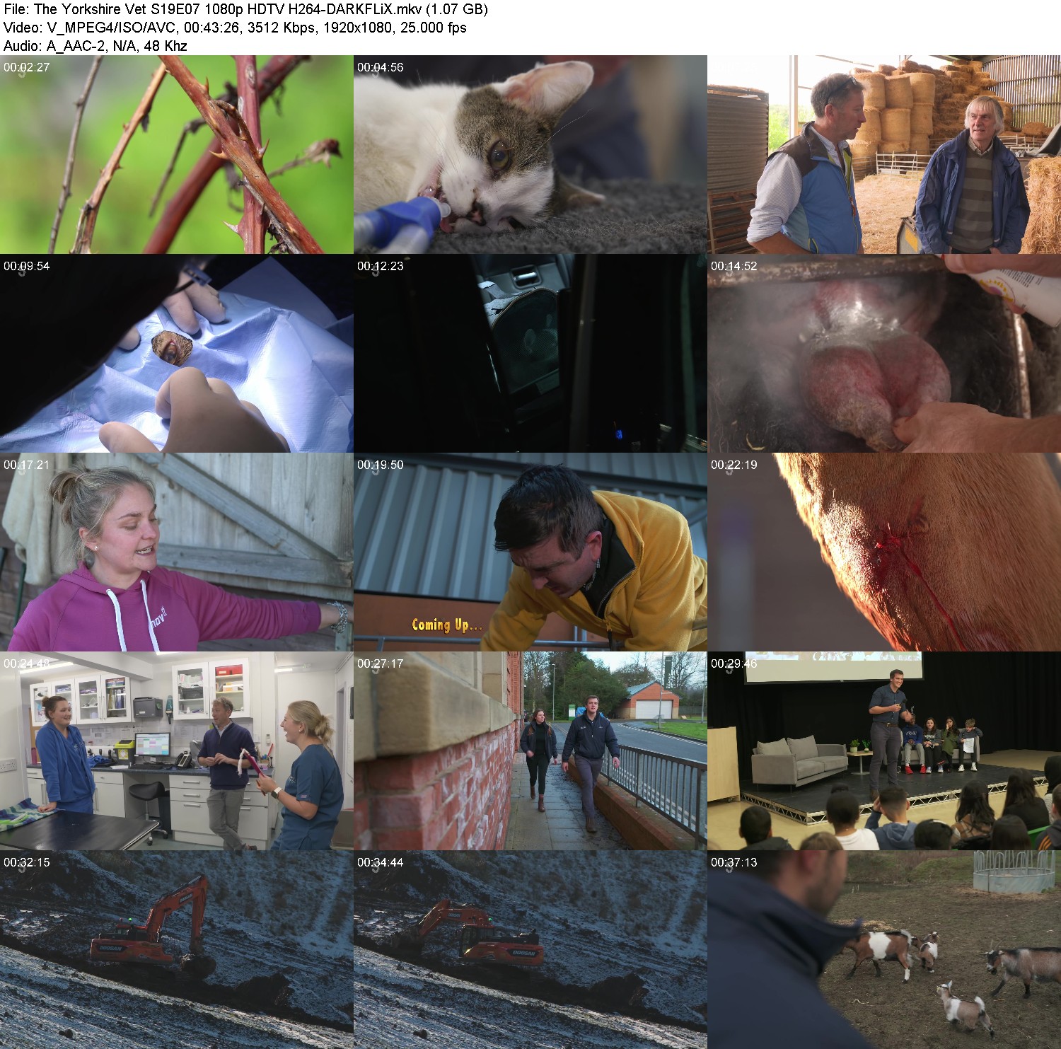 [Image: x587vchfgck7.jpg]