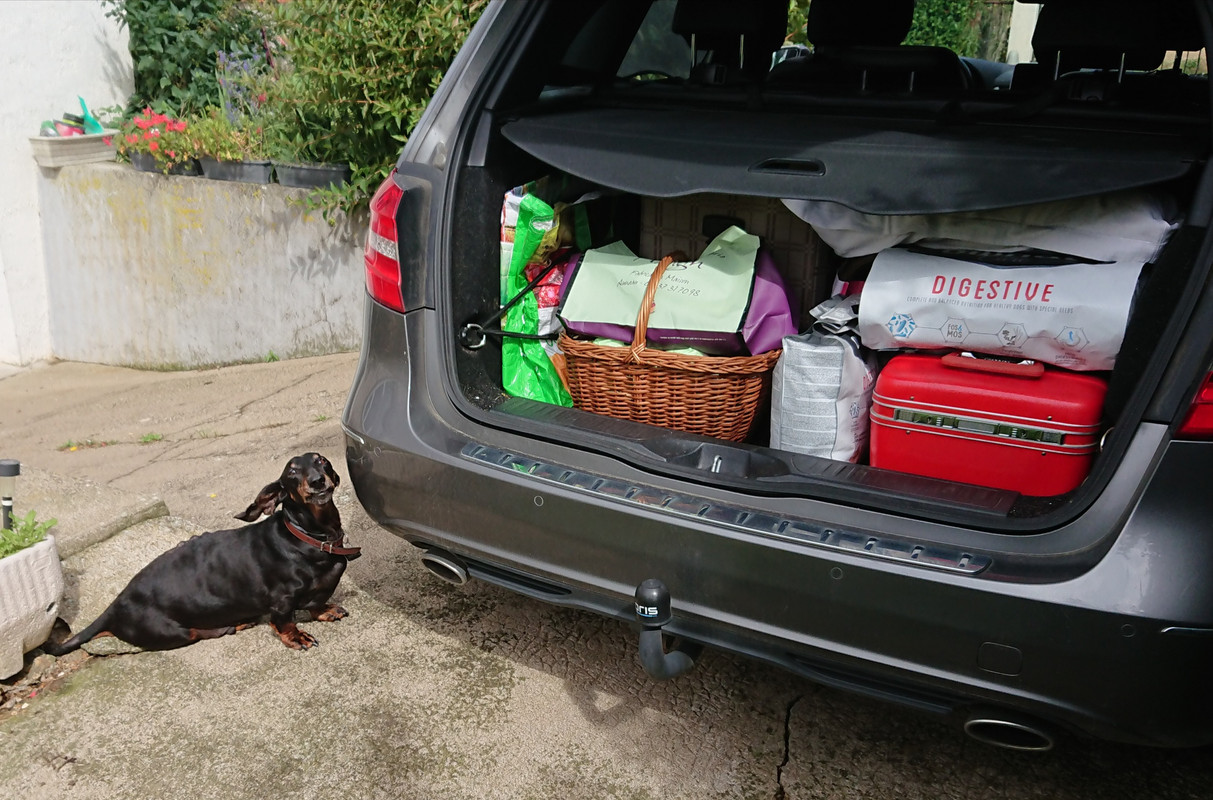 [Image: 20230901-125259.jpg]