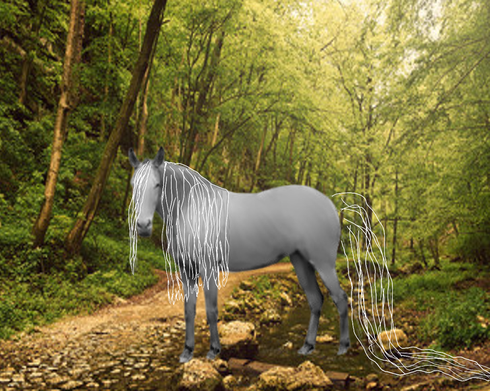 YHH-WIP-Mare-in-woods.png