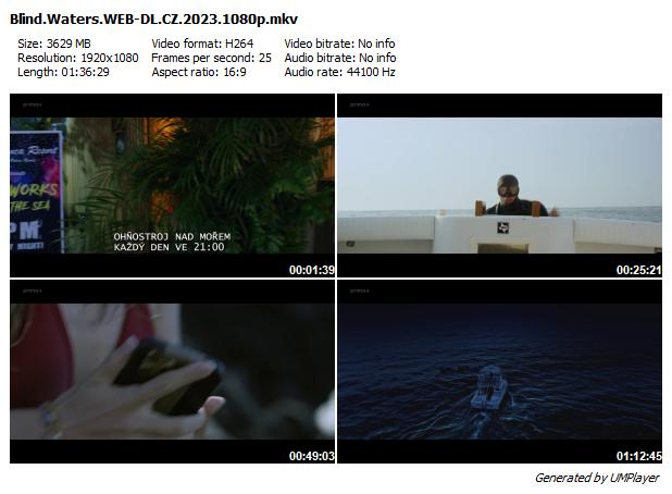 Zrádné hlubiny / Blind Waters (2023)