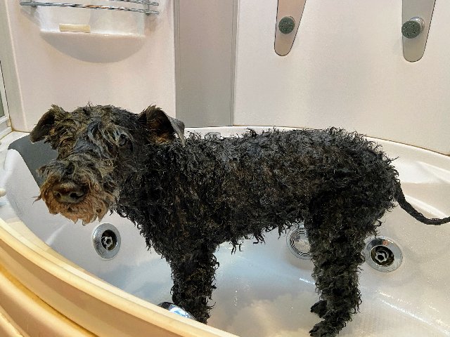 0-B6406-D6-B7-D2-42-AB-ABAE-763865-A763-