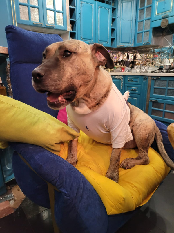 5E969949-BF65-423B-96E4-3440A7983235