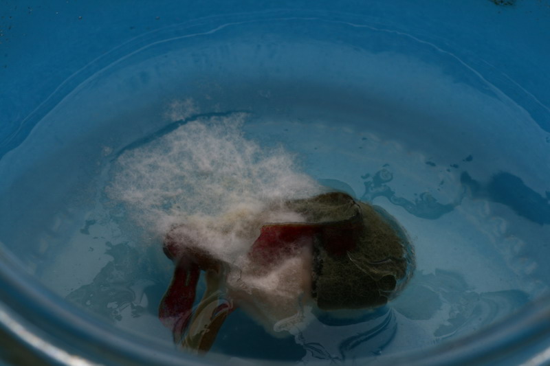 Candice-Swanepoel-GQ-South-Africa-4