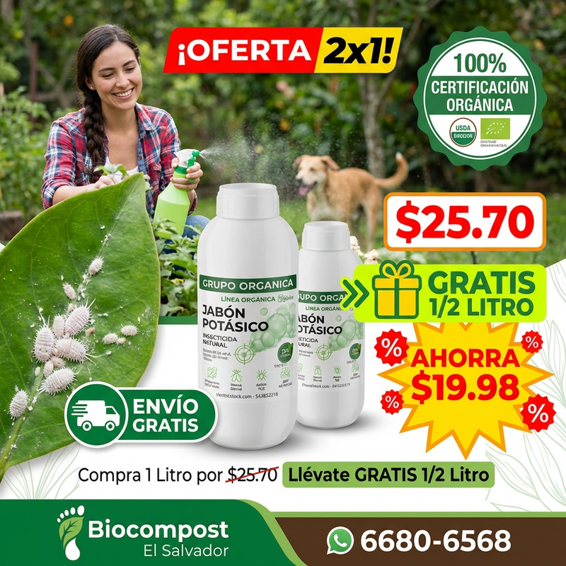 Convert this promotional image to a square 11 asp 1771547007619