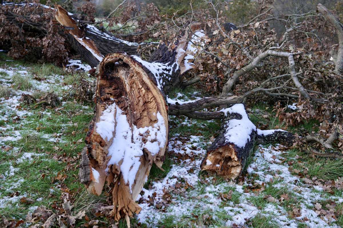 F4985874-F6FE-4890-A7A0-98BEF1CA8B7C