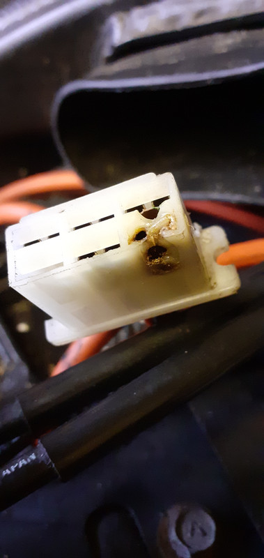 D00C4A25-C454-4005-9807-0739F613FF74