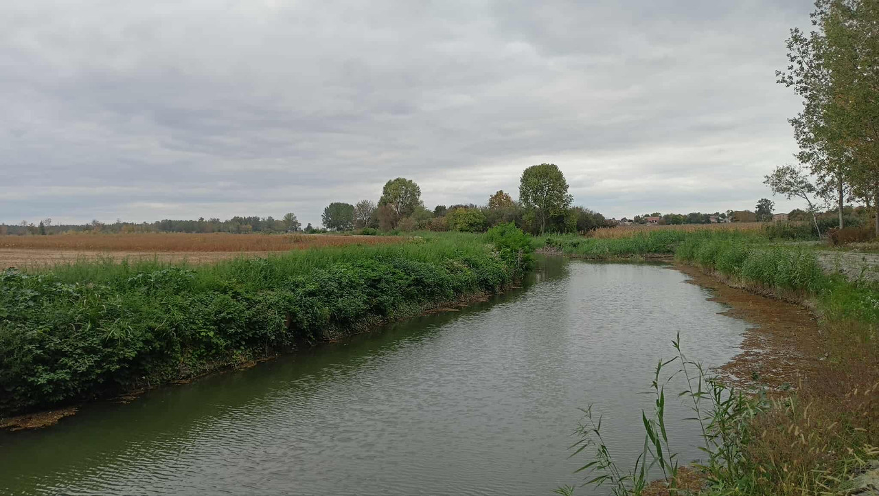 553542526-1122772243166838-1964988042960