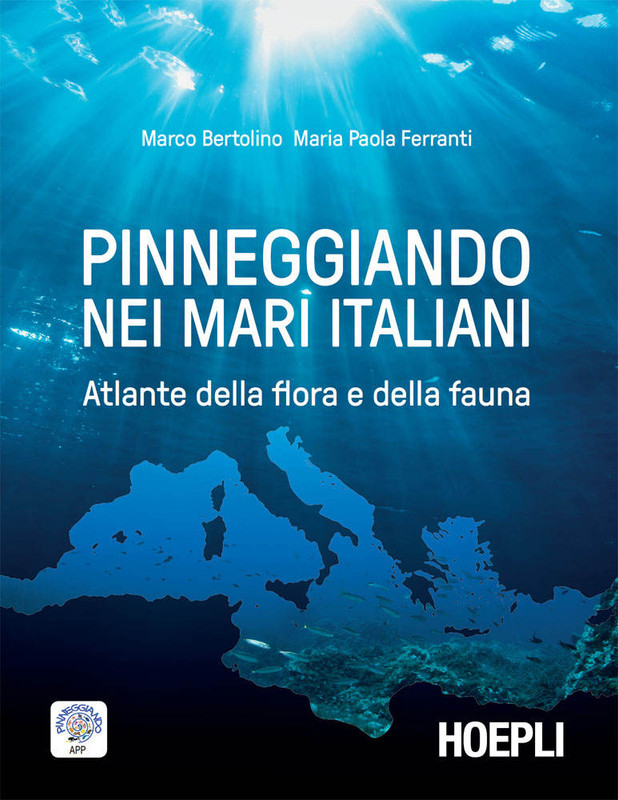 Marco Bertolino - Pinneggiando nei mari italiani. Atlante della flora e della fauna (2018)