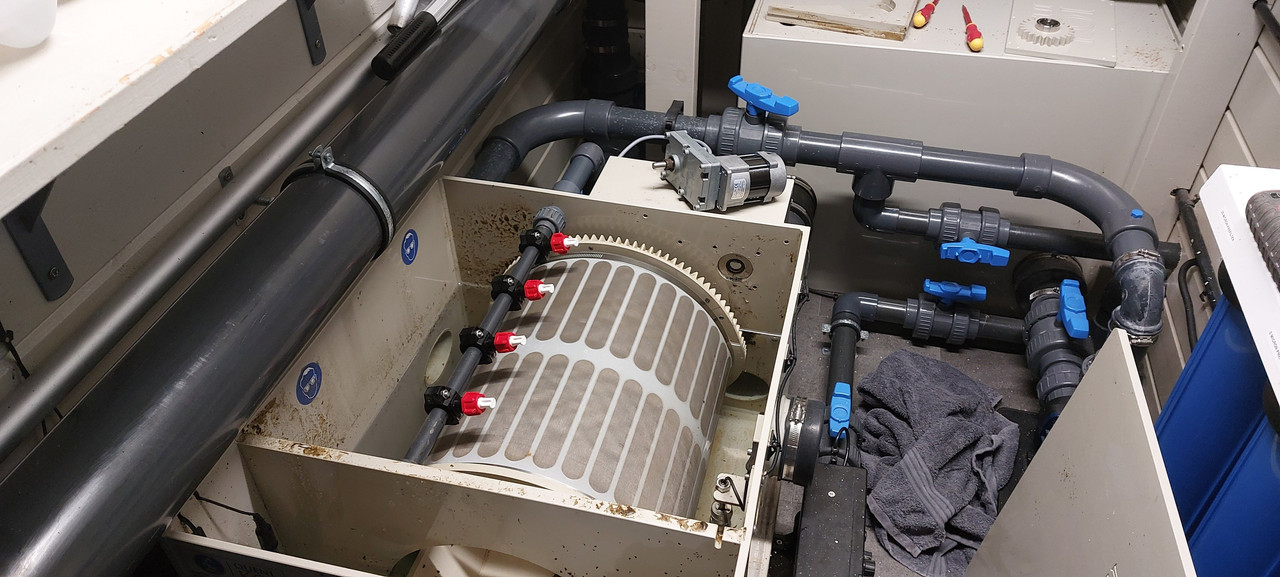 2tsG7FZhRsyYPSevrB2drA