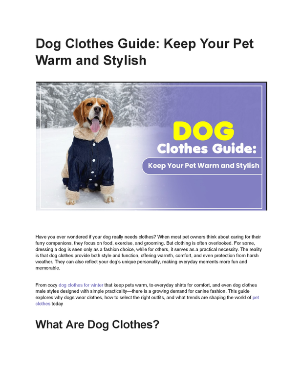 Dog Clothes Guide Keep Your Pet Warm and Stylish