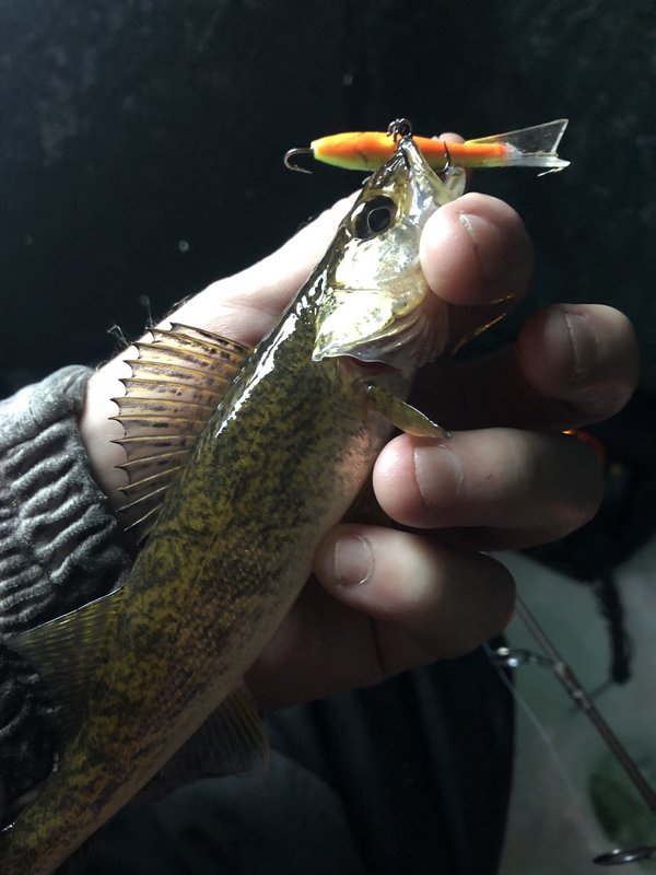 E65D1BE4-3E93-496D-B568-95EE0B92AB9A