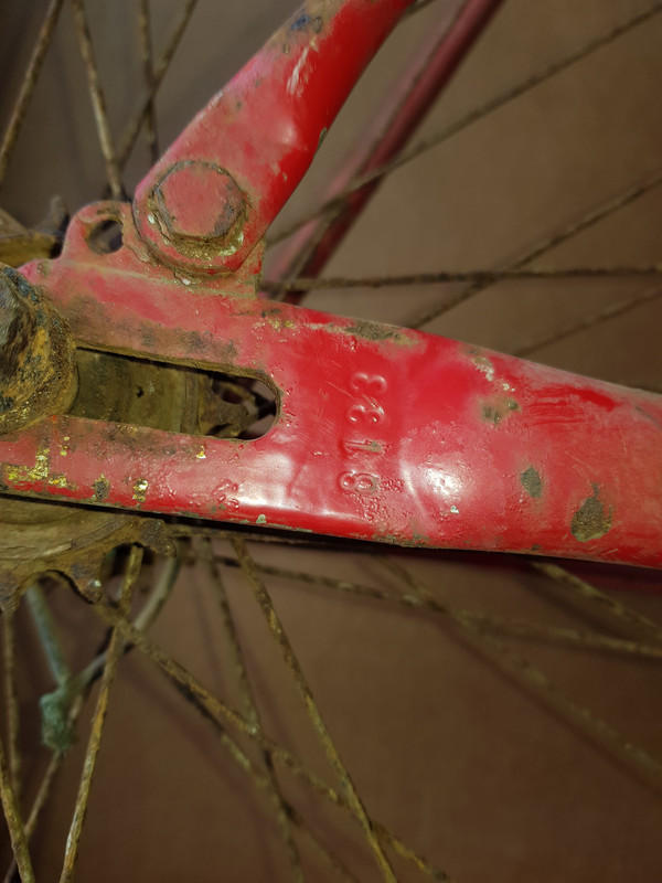 Rear drop out & Number