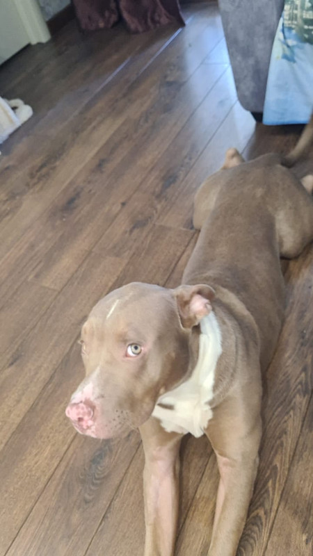 C8044F8F-2C0B-4A79-AC9F-26779090EBE0