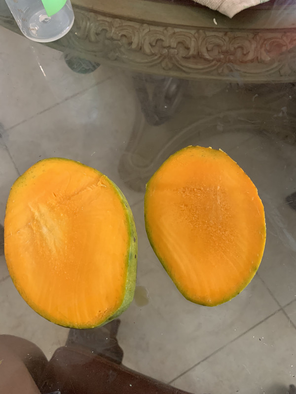 719E8518-83E7-49BB-8A9A-88CC8AF911A0