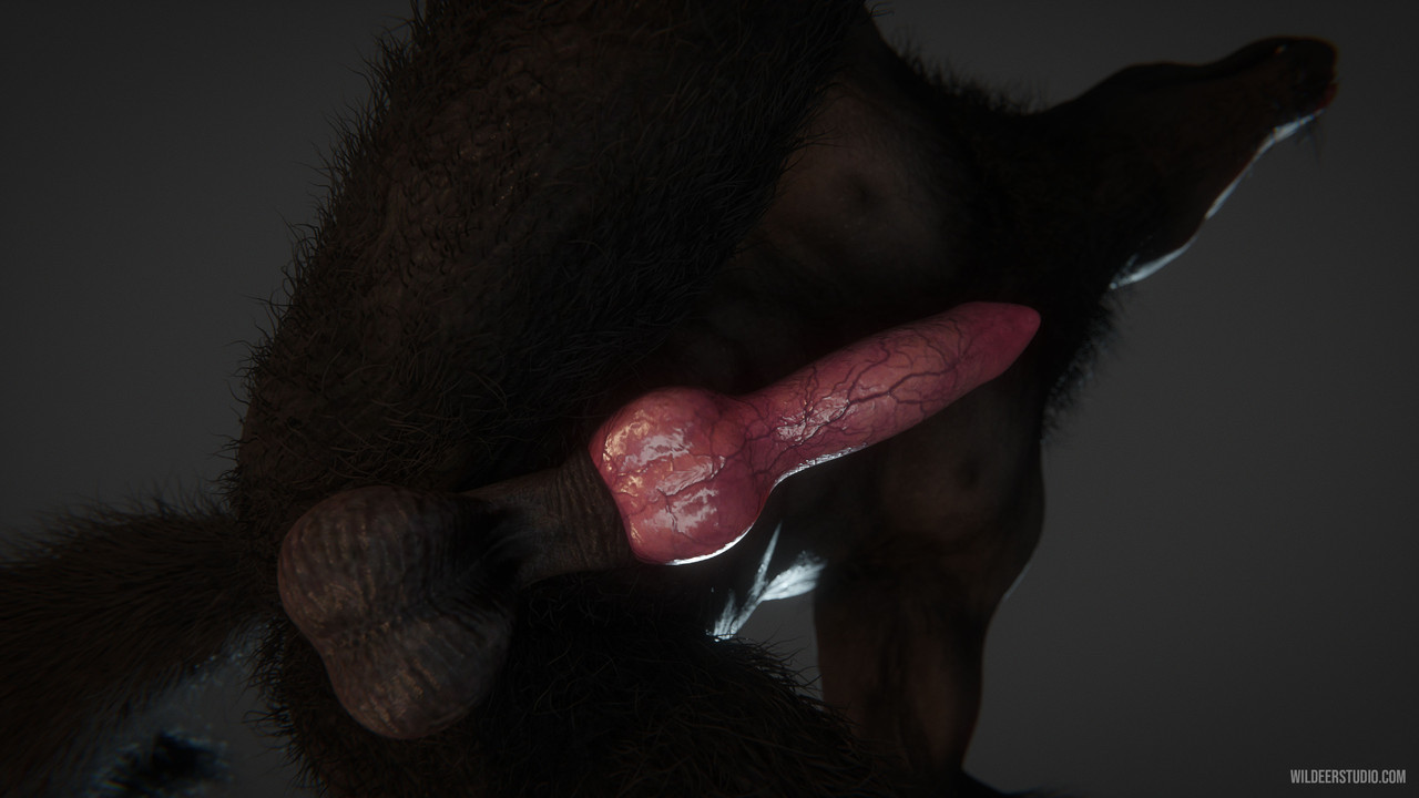 wip_halloween25_werewolf_03