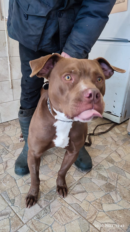 WhatsApp Image 2023-02-03 at 13.44.58 (1)