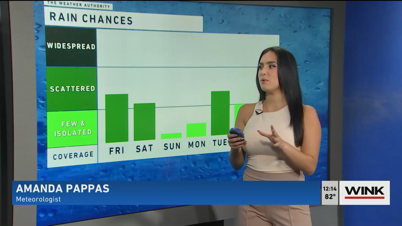 10.14 - 17.00.00 - The WINK Noon News  ᴺᵉʷ. Midday news update..ts_snapshot_20.36.178