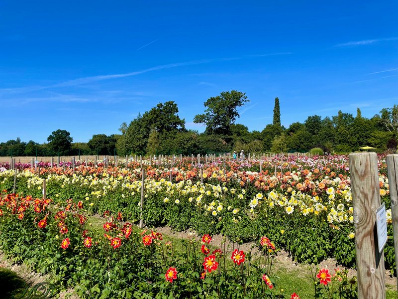 garden-centre-HD-2.jpg