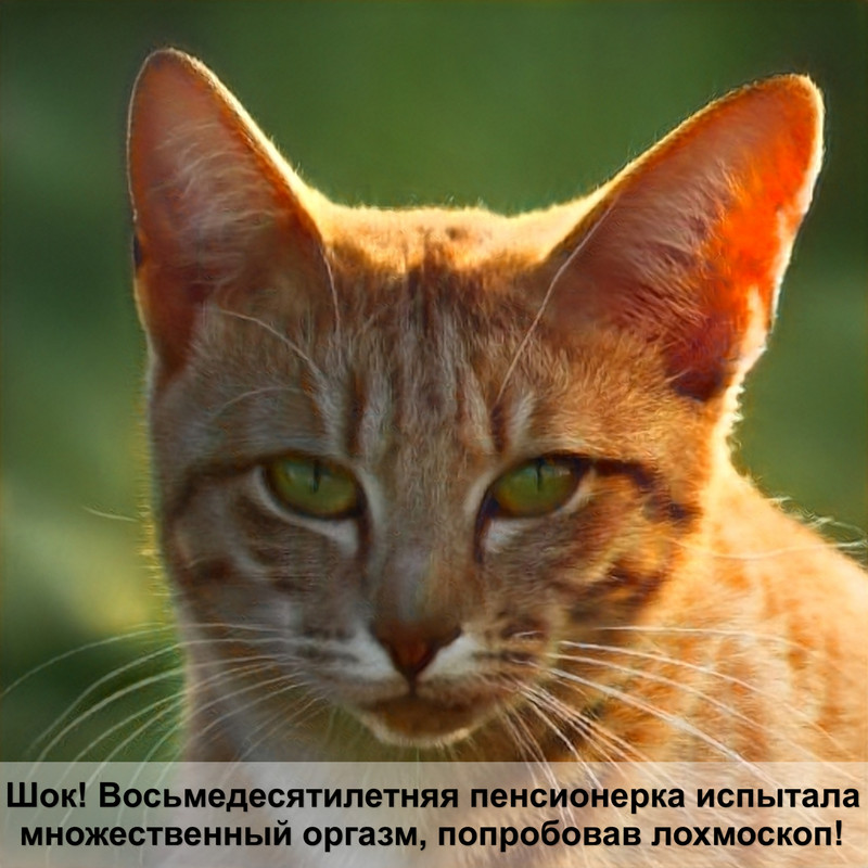 какая кошка самая главная