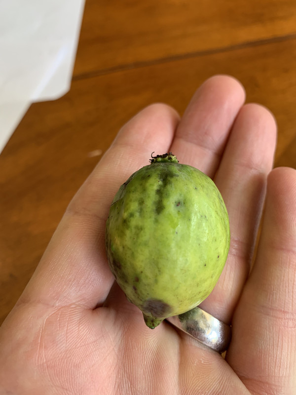 0B08FB31-982D-44F7-86B7-514023D901C5