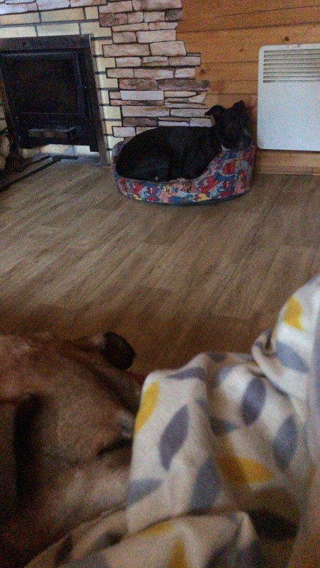 2AA68433-B970-4E25-854D-8BB8B7855E8F