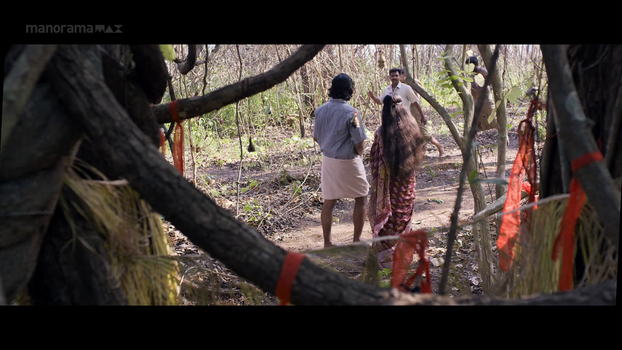 vlcsnap 2026 02 06 18h03m03s348