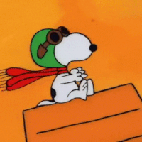 ezgif-com-gif-maker.gif