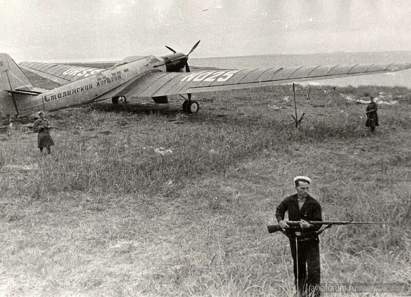 Ant25-02.jpg