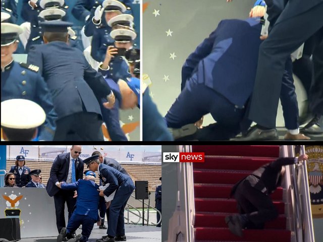 [Image: collage.jpg]