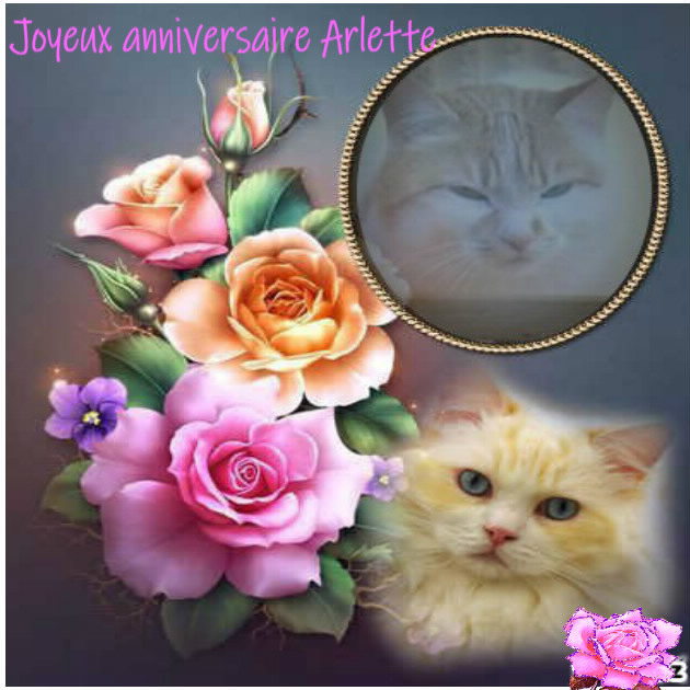 Un joyeux anniversaire (archive 1) - Page 20 Pixiz-03-11-2018-15-44-07