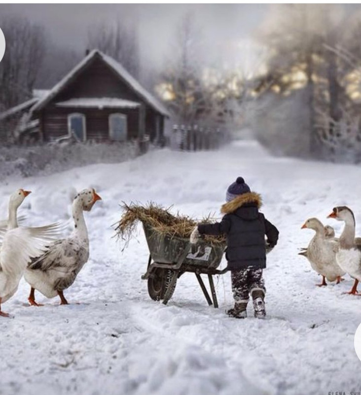 Screenshot_20230217_221343_Chrome