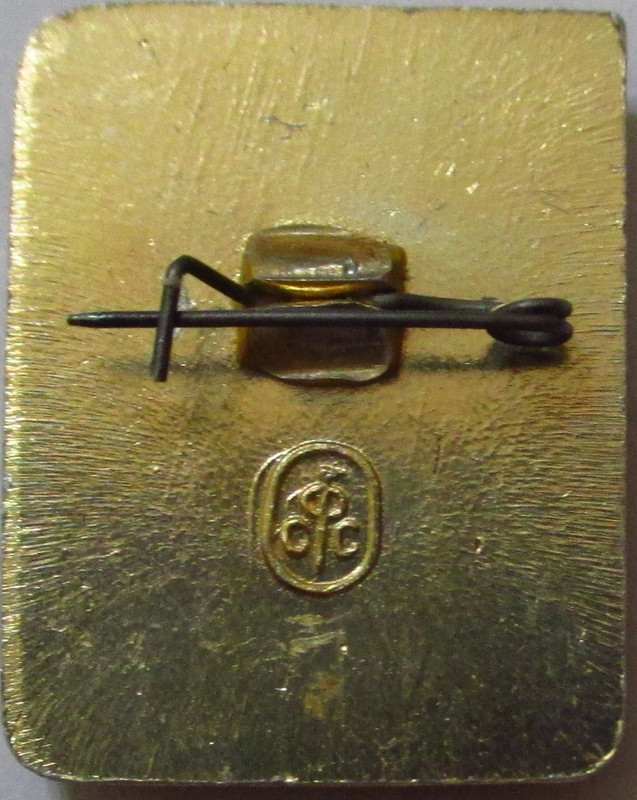 Шахматы (ФСС) (2)