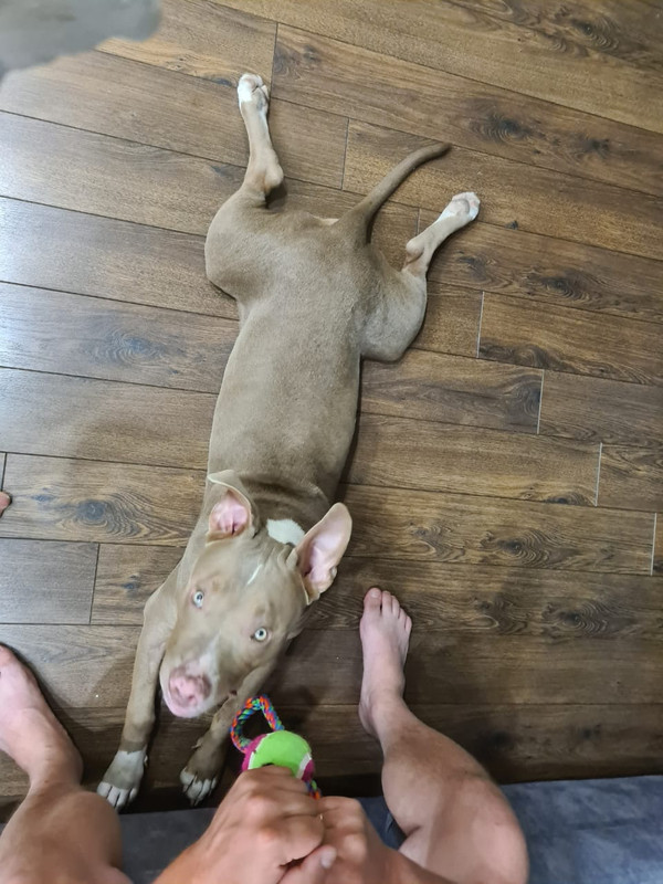 C9852156-FC9B-4C79-9204-9E2342AD171A