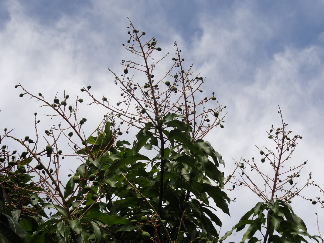 DSC00208