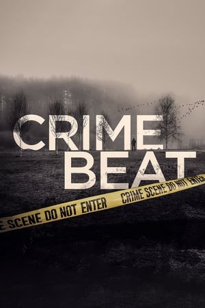 Crime Beat S04E16 WEBRip x264-TORRENTGALAXY