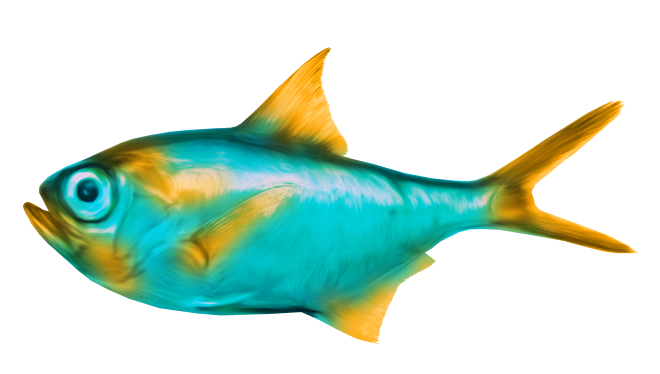 BIBI-UNDER THE SEA  ELEMS (44)