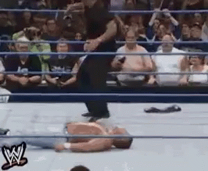 wwe-ezgif-com-added-text.gif