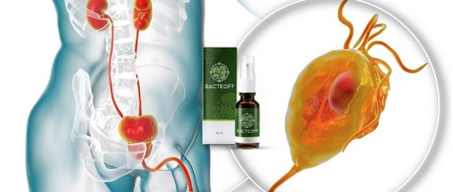 BACTEOFF comprar en linea.
