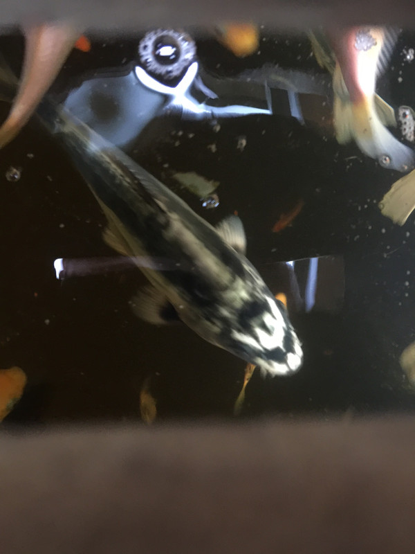 00A7B11F-73F7-4C14-8FB6-183559CCF7B2