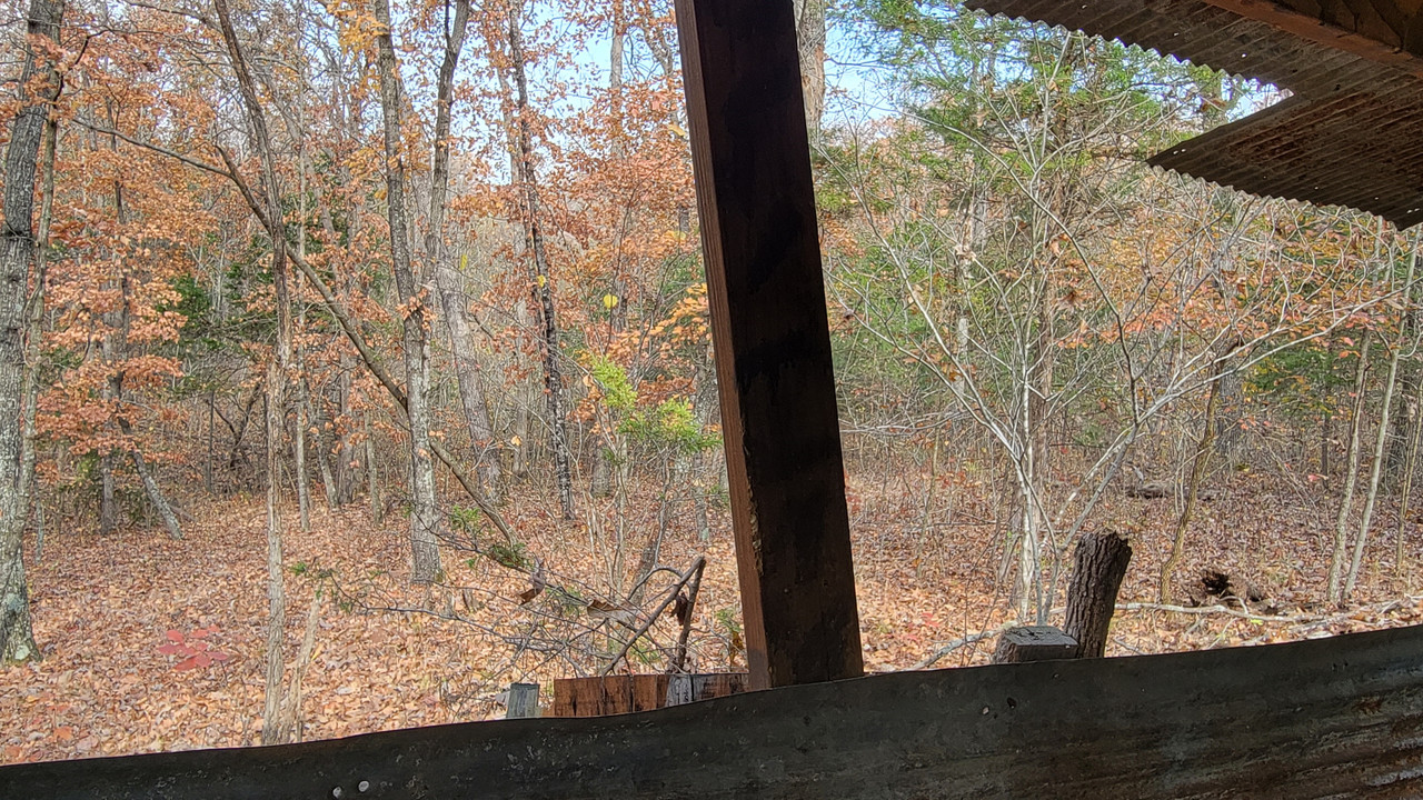 2021-11-10 Rzr Blind (2)