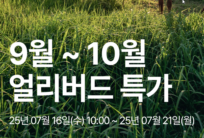 이스타항공 할인 이벤트