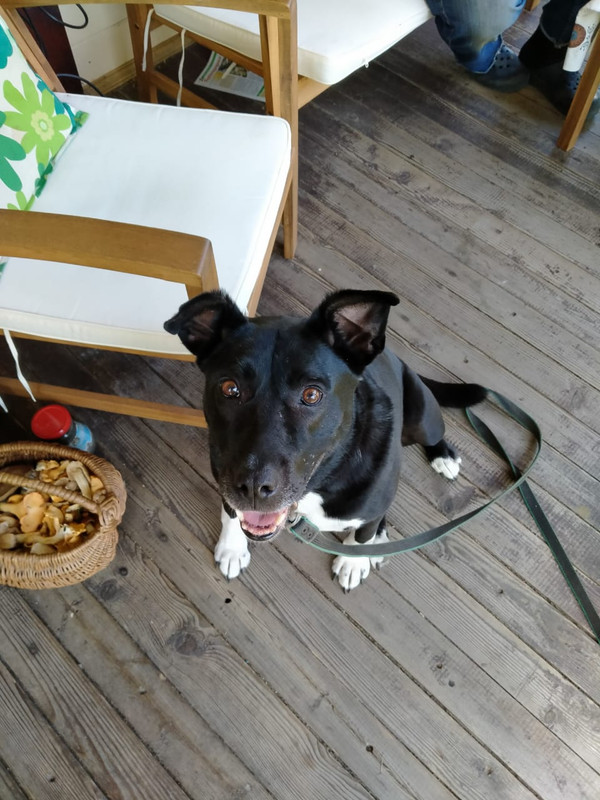 EAF97720-6006-4646-9400-133FA77251CB