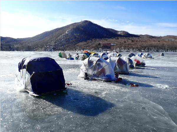 Screen Shot 2021-01-10 at 11.22.26 AM